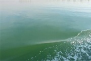 北京海撒地址在哪里？北京海撒费用是多少？
