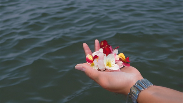 想把骨灰撒在大海到哪里办手读